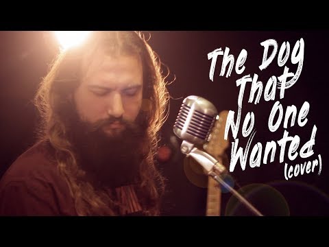 Nightstalker - The dog that no-one wanted (Cover at Wormhole Sessions)