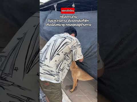 ช่วยชีวิตน้องหมา 🐶 ทริปนี้มีเรื่องราวดีๆ 💖  #ช่วยหมา #ทริปเกาะล้าน #เกาะล้าน  #youtubeshorts