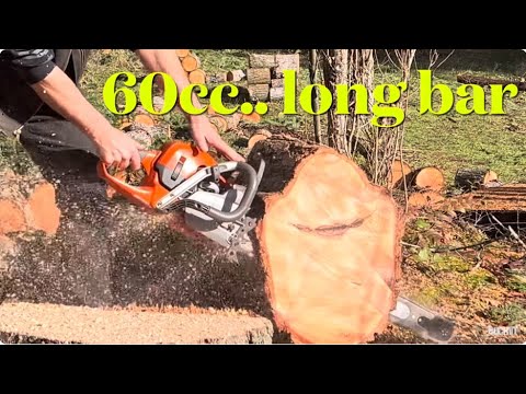 THAT CHAINSAW BAR IS TO LONG! OR IS IT?