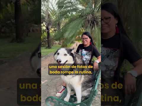 Dónde ir en Mérida: Parque de las Fuentes Gran Santa Fé, naturaleza, agua y calma