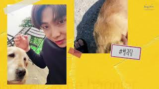 [SNS ] 210303-210304 相關SNS整理