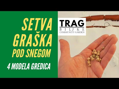 SOWING PEAS UNDER THE SNOW - 4 MODELS OF BED