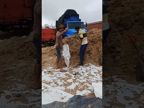 #youtubeviral #silagem #feiradegado #capoeiras #pernambuco #youtubeshorts