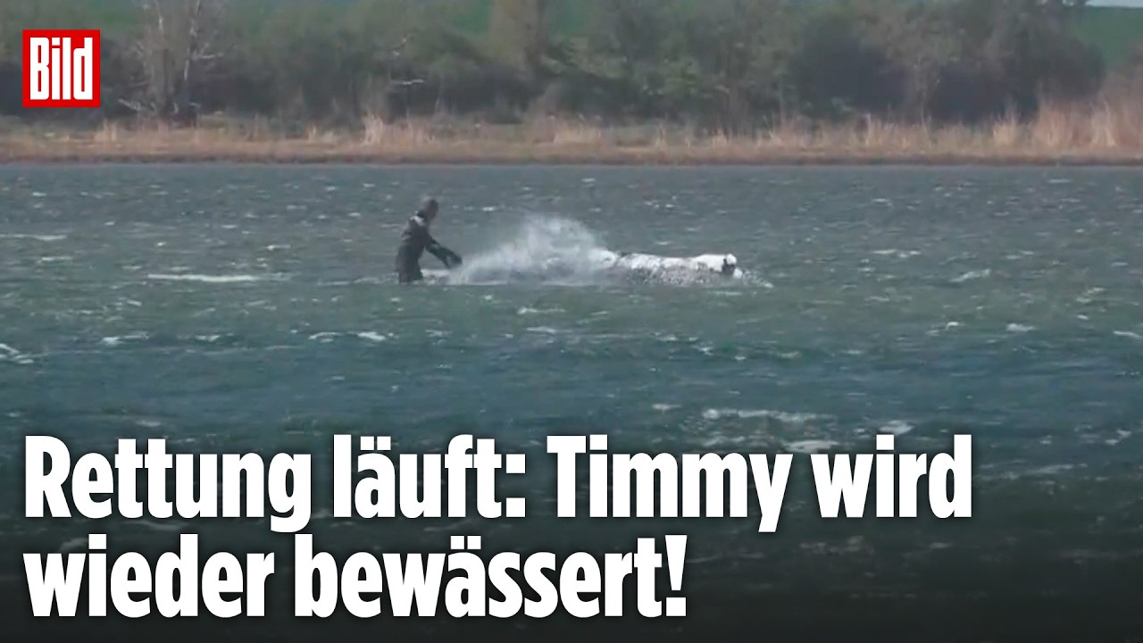 OSTSEE: Wetter verschlechtert sich: Timmy wird wieder bewässert