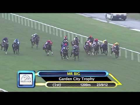 KrisFlyer International Sprint 2013 Contenders (Mr Big)