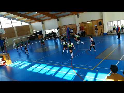 Libero de salmones austral voley puerto montt....