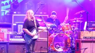 Gov&#39;t Mule - Stone Cold Rage 5-17-17 Central Park, NYC