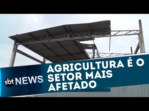 Agricultura é o setor mais afetado | SBT News (08/07/20)