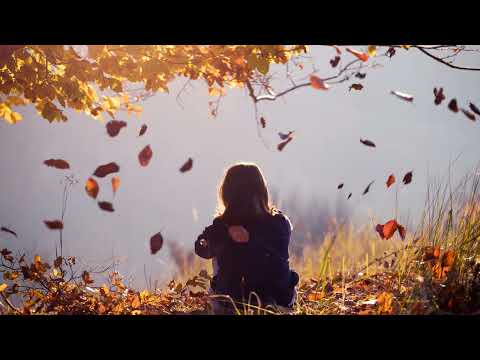 Avernus pres. Arteca - Empathy