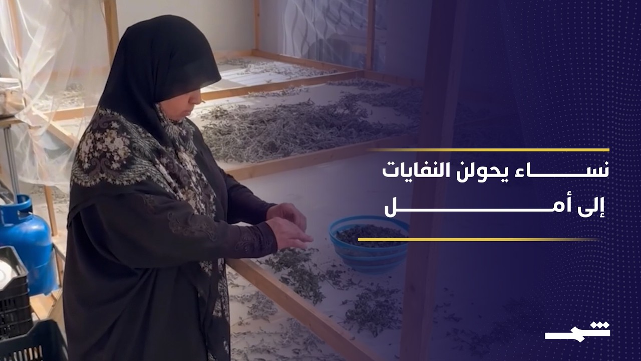 فيديو | لبنان.. مبادرة زراعية تعيد الحياة للنازحات في قضاء صور
