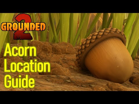 Grounded 2 acorn location guide, how to get acorn shell and top
