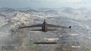 社畜COD
