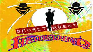 Hawkwind   SECRET AGENT Live @  Reading University 19th May 1992