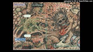 04 gangrened divine stigma