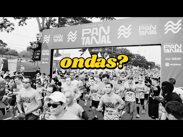 ONDAS no PANTANAL!