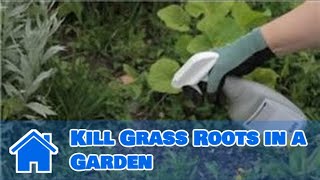 Gardening Basics : How to Kill Grass Roots in a Garden