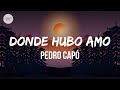 Pedro Capó - Donde Hubo Amor (Letra/Lyrics)