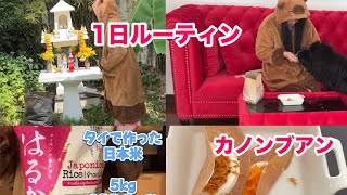 【バンコク暮らしルーティン】🇹🇭タイのおやつカノンブアン/タイ製日本米/日課のお掃除/リアルなタイ移住#タイ移住 