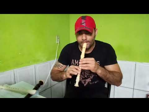 Bonjour pra você. Flauta doce ( com notas )
