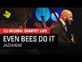 Eli Degibri Quartet - Even Bees Do It live in Bremen