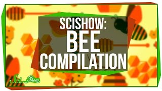 SciShow: Bees Compilation