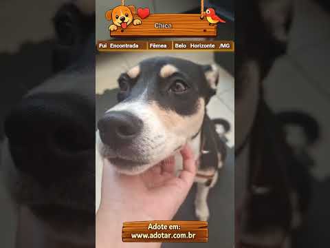 Vídeo de Chica