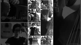 Music video thumbnail preview for Inadaptats - Escamots (Cello cover - #PUNKONCELLO) by Inadaptats