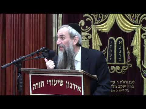 Hilchos Shabbos - Amira Leakum  - Rabbi Yakov Zev Smith