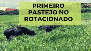 PRIMEIRO PASTEJO NO ROTACIONADO