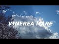 Nicolae Vicol INALTAREA DOMNULUI ISUS