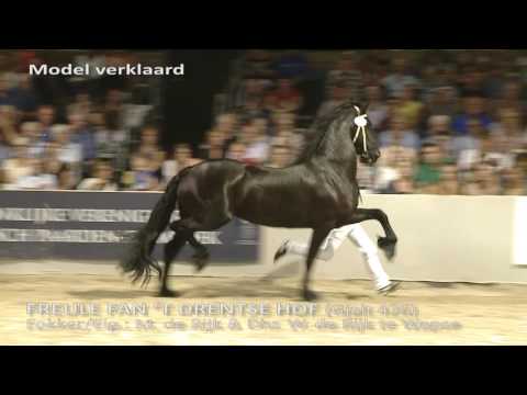 02  Model verklaring Centrale keuring 2016