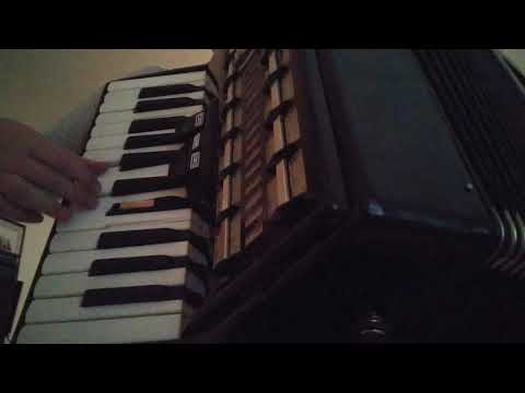 Sviranje harmonike - PRIMORKINJA