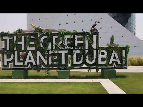 The Green Planet video thumbnail