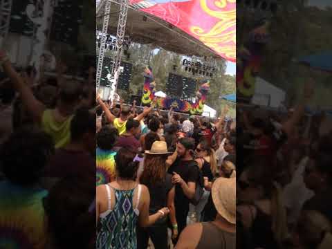 -ACE VENTURA- En *HOMMEGA FESTIVAL*