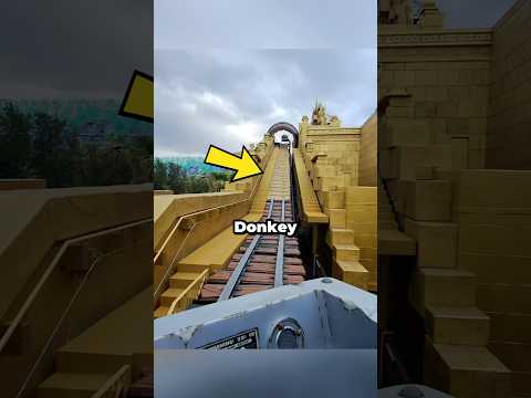 Diese Achterbahn ist nicht für jedermann geeignet… 😳