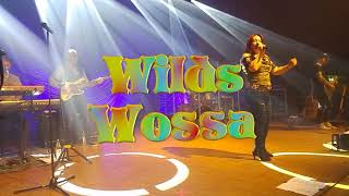 Seer begeisterten die Zuseer (Hof 24.6.18 Freiheitshalle)