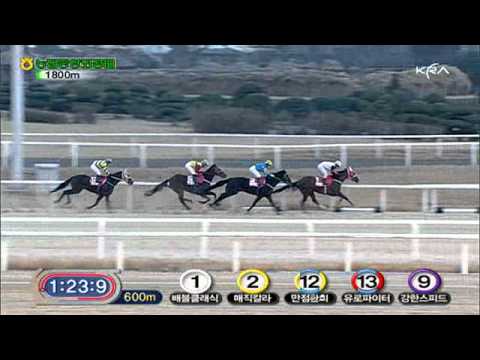 2010 Chairman of NACF Cup - Dongbang Rose