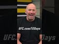 Day 5 of Dana White's 12 Days of Giveaways is HERE! ?