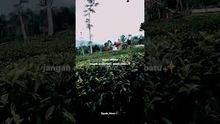 Download lagu Story Sore Hari 🌄 II STORY QUOTES WA VIRAL TERBARU II STORY QUOTES WA VIRAL ❗ #trending mp3 Download lagu Story Sore Hari 🌄 II STORY QUOTES WA VIRAL TERBARU II STORY QUOTES WA VIRAL ❗ #trending mp3