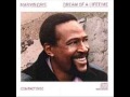 Marvin Gaye - Sanctified Lady
