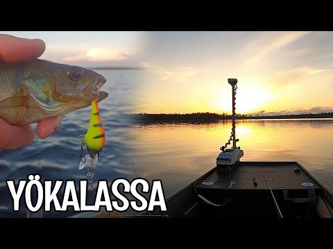 UISTELUA KESÄYÖNÄ - AHVENTA JA HAUKEA PIKKUVAAPUILLA