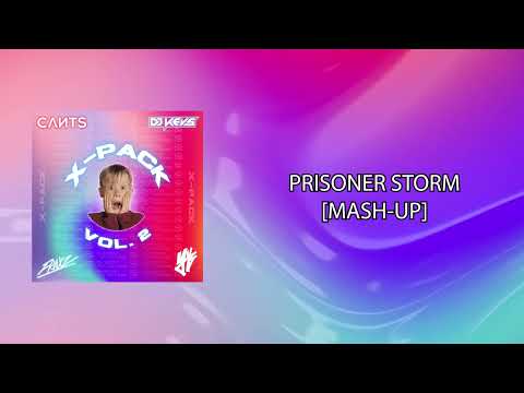 Miley Cyrus, Dannic - Prisoner Storm (RUSHMORE Mash-Up)