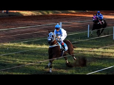 VDA VALKIRIA - 4to Finalista Polla Especial de Velocidad - 25/02/2023 - Hipódromo Artigas