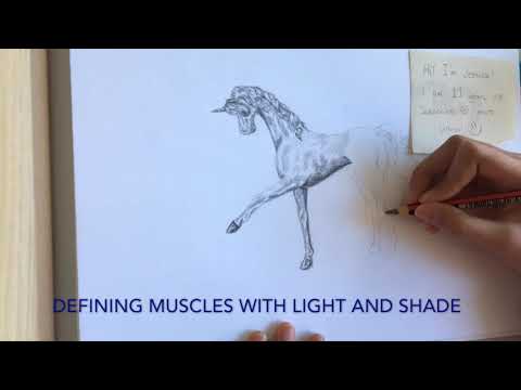 Time-lapse Unicorn pencil sketch Jessica Tai