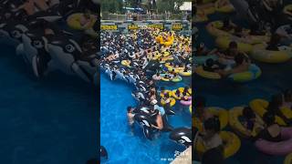 えげつない中国の波のプールChina funny Video  Water park  waveウォーターパーク#waterpark #プール #china