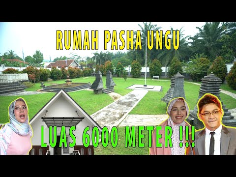 GREBEK RUMAH PASHA UNGU, LUAS DAN BAGUS BANGET !!!