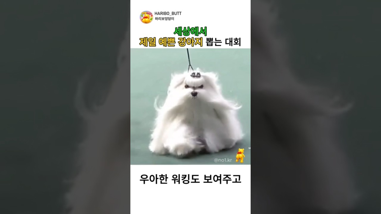 Youtube Shorts Thumbnail