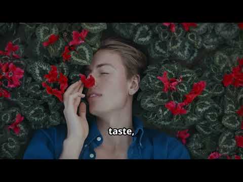 Is Death Just an Illusion? Quantum Physics Explains!