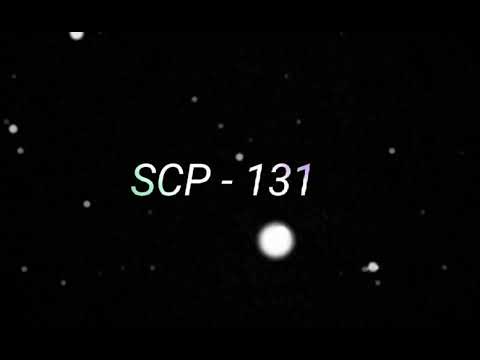 SCP - 131