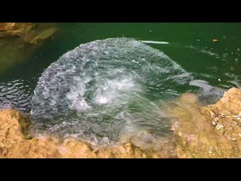 Martvili Canyon Natural MonumentRiver Abasha in Martvili